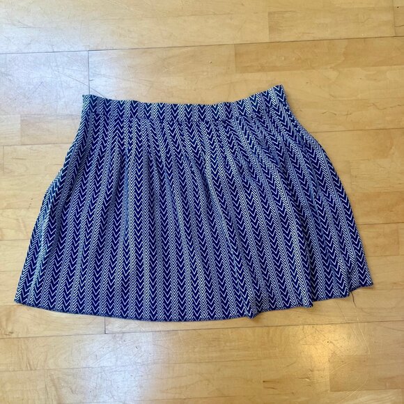 EUC Gap Womens Blue and White Zig-Zag/Chevron Pleated Skater Mini Skirt, Size 10 - Picture 1 of 10